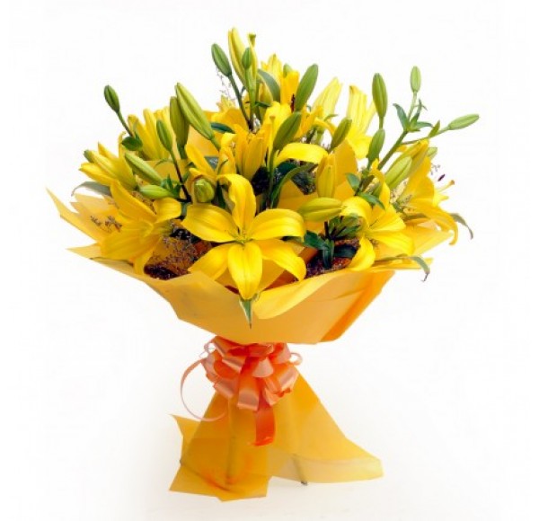 Asiatic Yellow Lilies